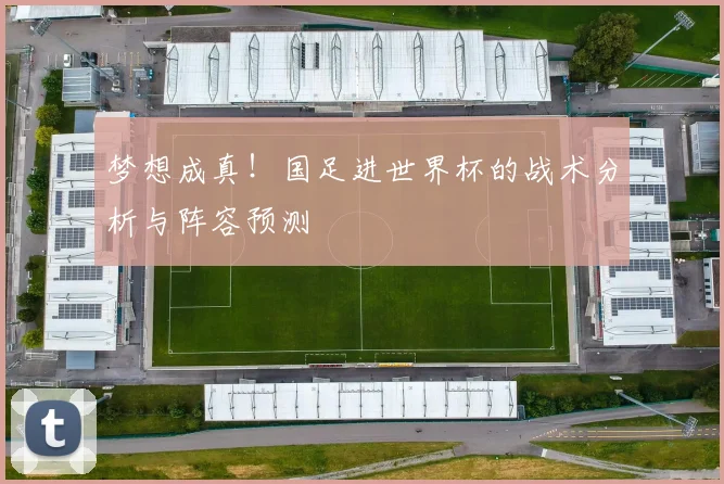 梦想成真！国足进世界杯的战术分析与阵容预测